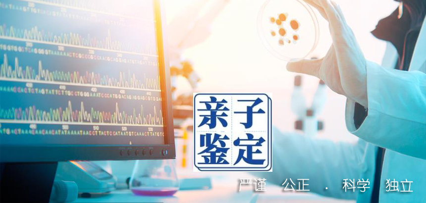仙桃亲子鉴定咨询了解